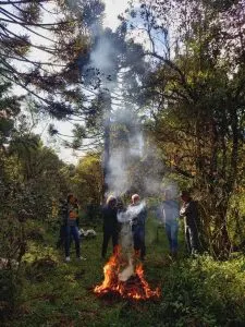 Foto da notícia “Diagnóstico da cadeia produtiva do pinhão no território dos municípios de abrangência do Território Planalto Sul”