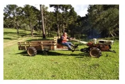 Foto da notícia “Diagnóstico da cadeia produtiva do pinhão no território dos municípios de abrangência do Território Planalto Sul”
