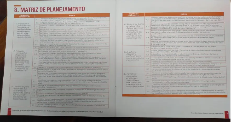 Foto da notícia “Plano de ação para potencialização da cadeia produtiva do pinhão, em formato digital PRODUTO 5 do contrato.”