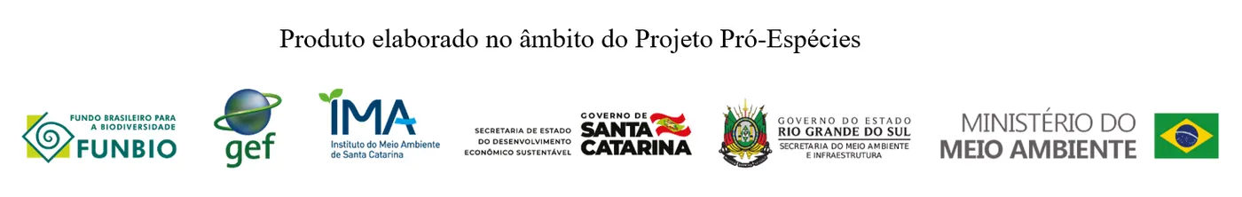 Foto da notícia “Plano de ação para potencialização da cadeia produtiva do pinhão, em formato digital PRODUTO 5 do contrato.”