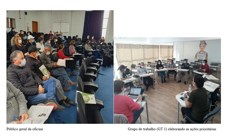 Foto da notícia “Plano de ação para potencialização da cadeia produtiva do pinhão, em formato digital PRODUTO 5 do contrato.”