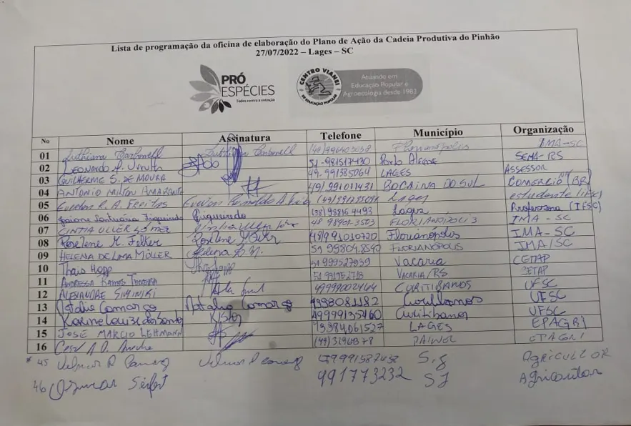 Foto da notícia “Plano de ação para potencialização da cadeia produtiva do pinhão, em formato digital PRODUTO 5 do contrato.”