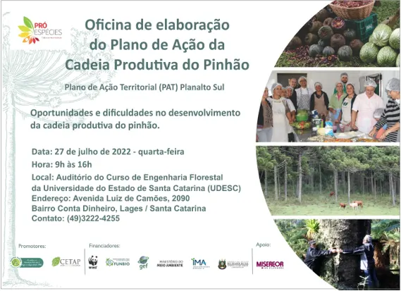 Foto da notícia “Plano de ação para potencialização da cadeia produtiva do pinhão, em formato digital PRODUTO 5 do contrato.”