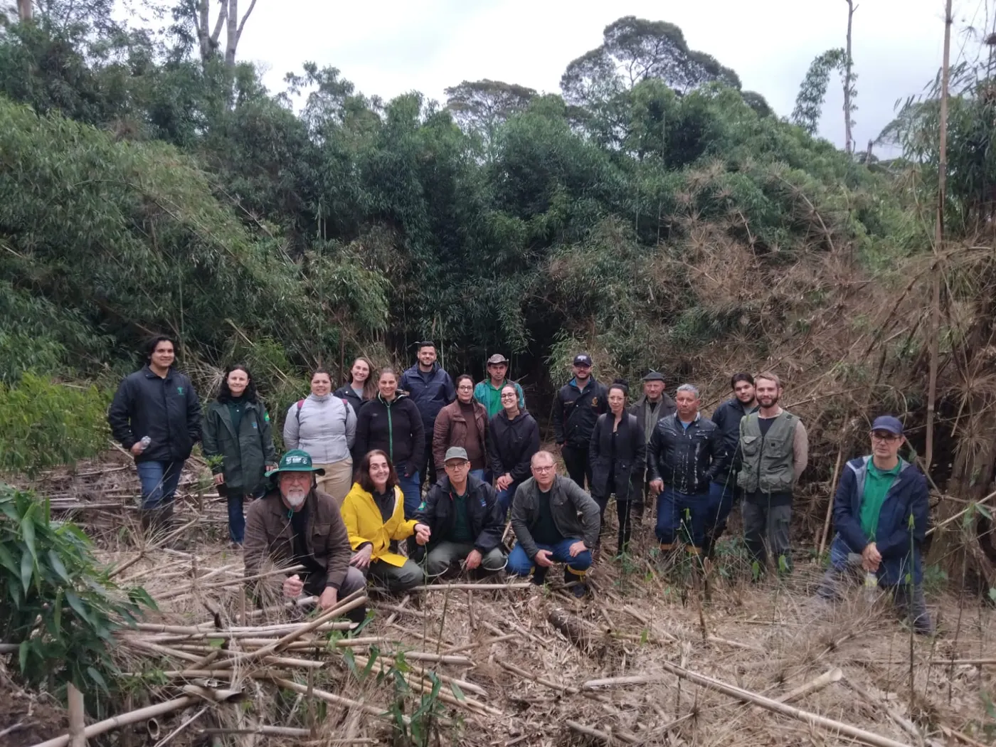 Foto da notícia “Técnicos do Centro Vianei participam de seminário sobre manejo e controle de taquaras”