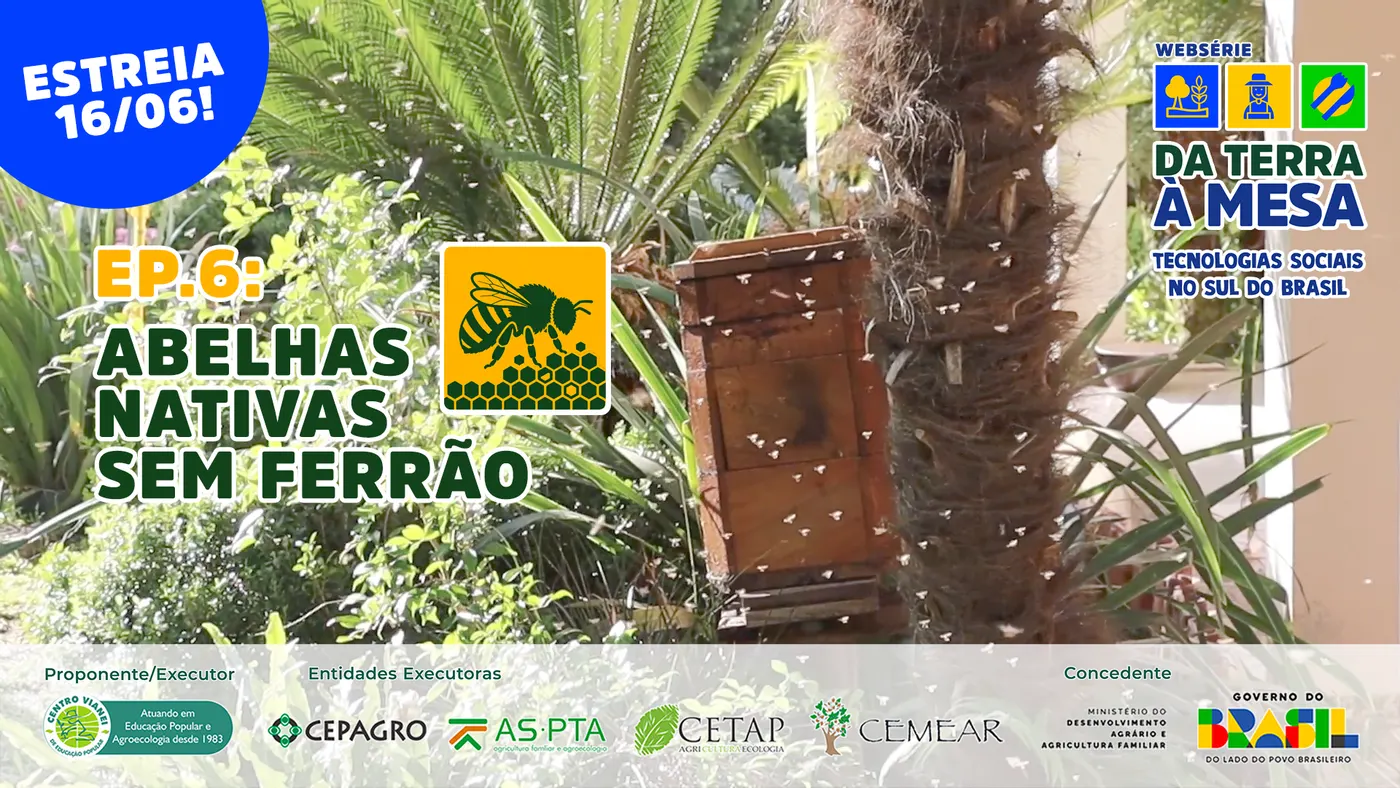Foto da notícia “Websérie apresenta tecnologias sociais que fortalecem a agroecologia no Sul do Brasil”