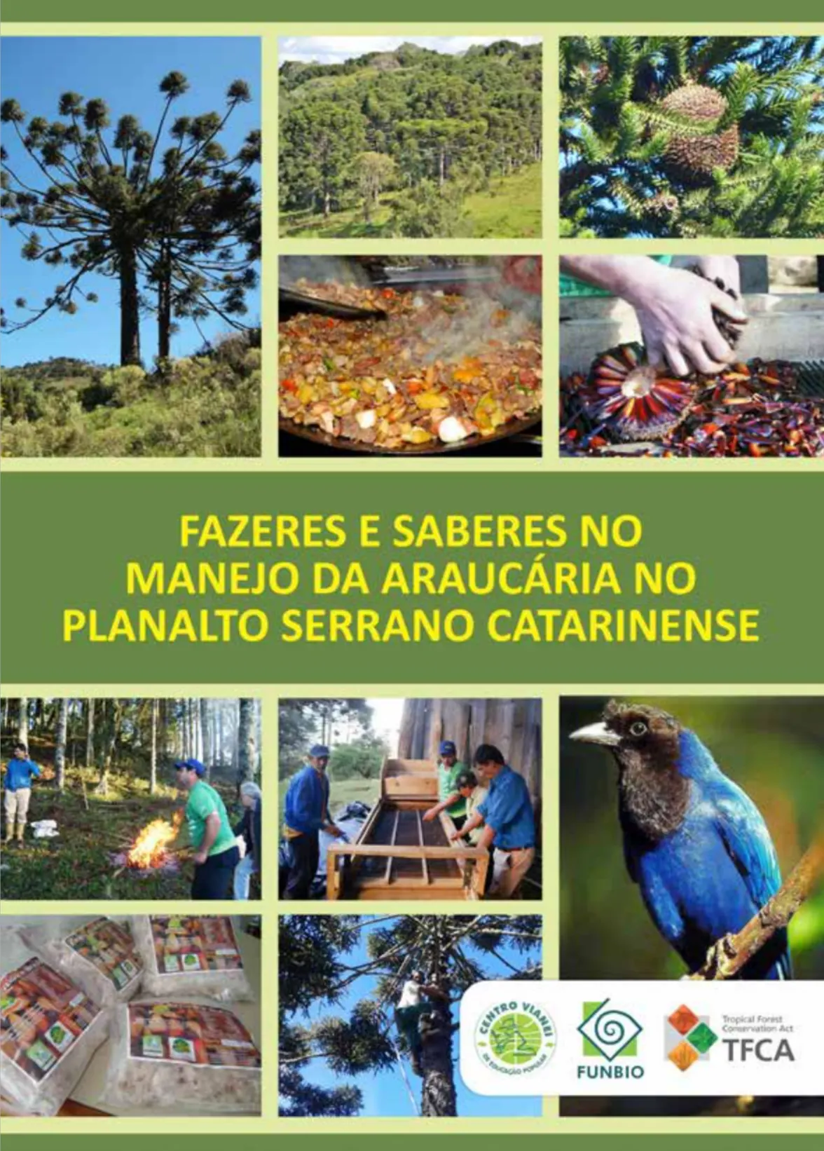 Capa da publicação “Fazeres e saberes no manejo da araucária no Planalto Serrano Catarinense”