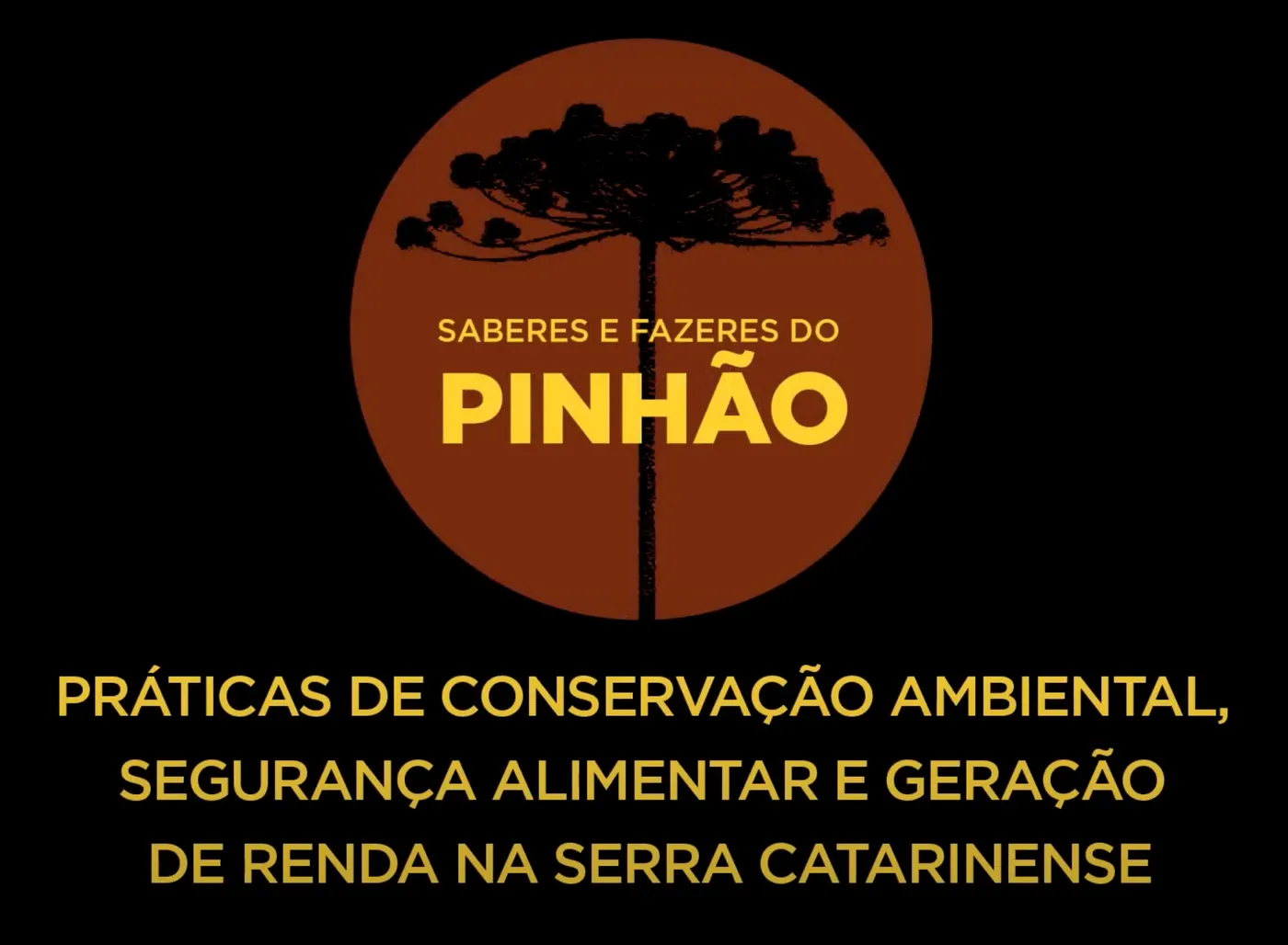 Capa da série de vídeos Saberes e Fazeres do Pinhão